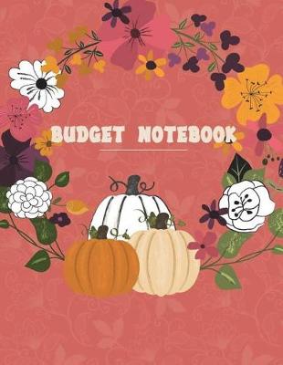 Book cover for Budget Notebook