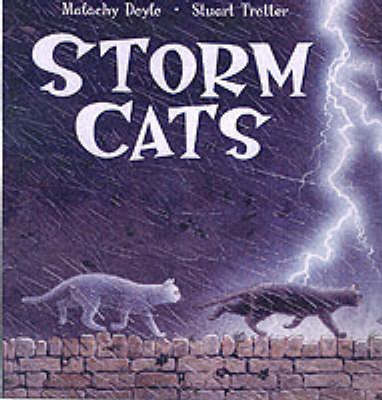 Book cover for Storm Cats