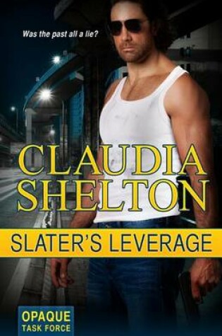 Cover of Slater's Leverage