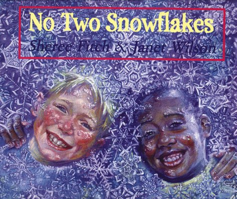 Book cover for No Two Snowflakes