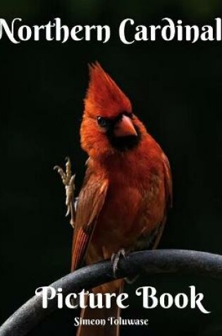 Cover of Northern Cardinal Picture Book