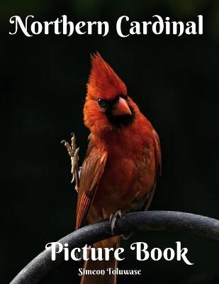 Book cover for Northern Cardinal Picture Book