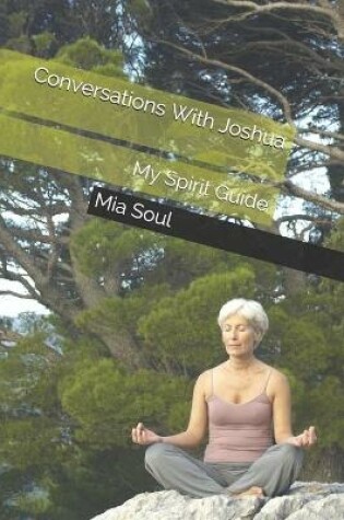 Cover of Conversations with Joshua