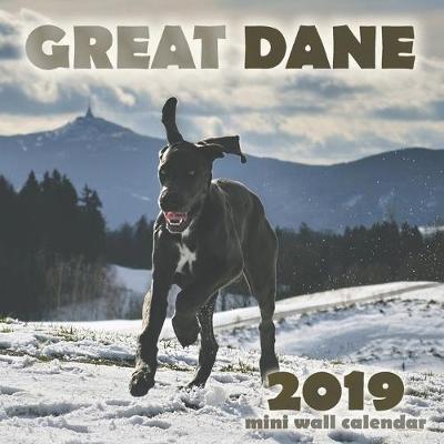 Book cover for Great Dane 2019 Mini Wall Calendar