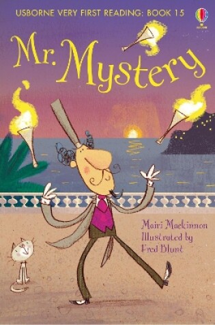 Cover of Mr Mystery