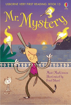 Book cover for Mr Mystery