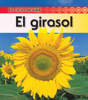 Book cover for El Girasol