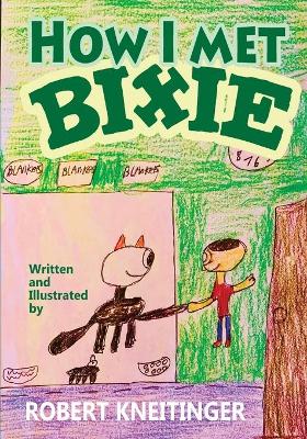 Book cover for How I met Bixie