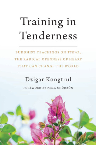 Cover of Training in Tenderness