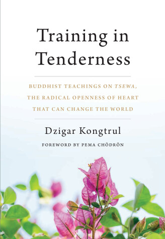 Book cover for Training in Tenderness