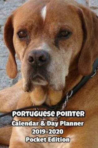 Cover of Portuguese Pointer Calendar & Day Planner 2019-2020 Pocket Edition
