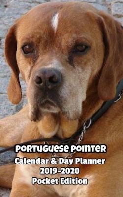 Book cover for Portuguese Pointer Calendar & Day Planner 2019-2020 Pocket Edition