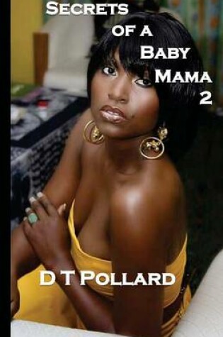 Cover of Secrets of a Baby Mama 2