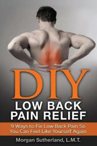 Cover of DIY Low Back Pain Relief