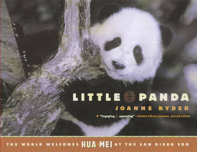 Book cover for Little Panda