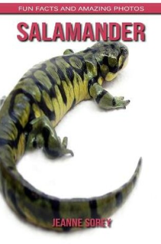 Cover of Salamander