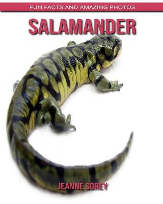 Book cover for Salamander