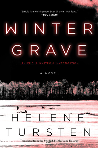 Cover of Winter Grave