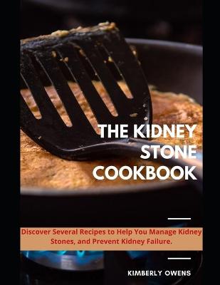 Book cover for The Kidney Stone Cookbook for Dummies