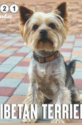 Cover of Tibetan Terrier 2021 Calendar