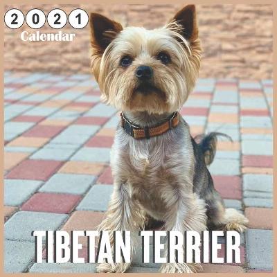 Book cover for Tibetan Terrier 2021 Calendar