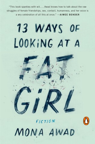 Cover of 13 Ways of Looking at a Fat Girl
