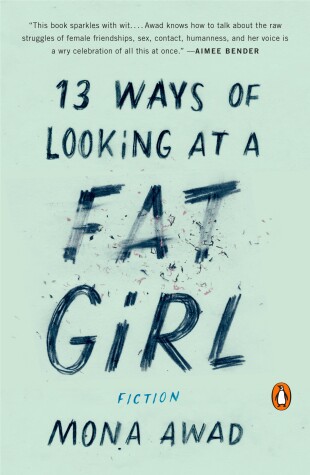 Book cover for 13 Ways of Looking at a Fat Girl