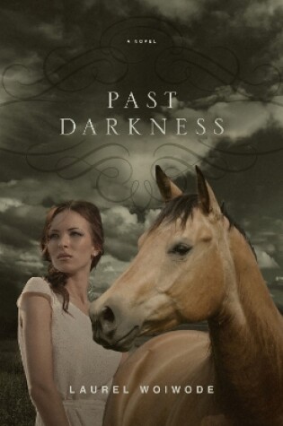 Cover of Past Darkness