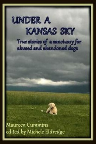 Cover of Under a Kansas Sky