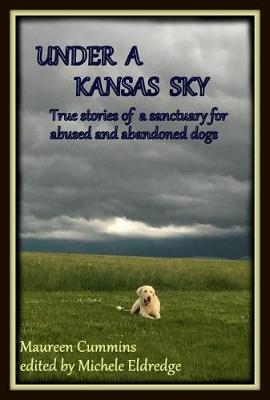 Book cover for Under a Kansas Sky