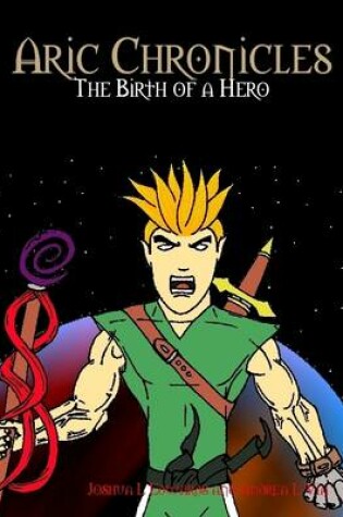 Cover of Aric Chronicles: the Birth of a Hero