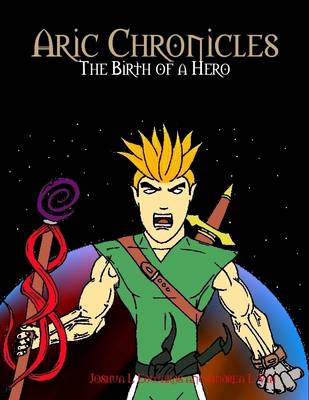 Book cover for Aric Chronicles: the Birth of a Hero