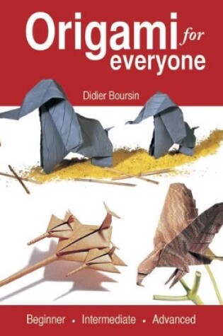 Cover of Origami for Everyone