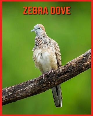 Book cover for Zebra Dove