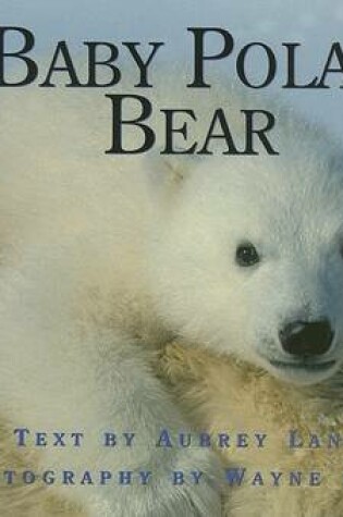 Cover of Baby Polar Bear