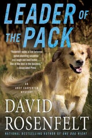 Cover of Leader of the Pack