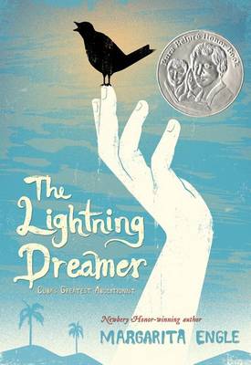 Book cover for The Lightning Dreamer