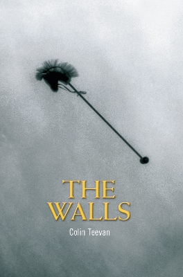 Cover of The Walls