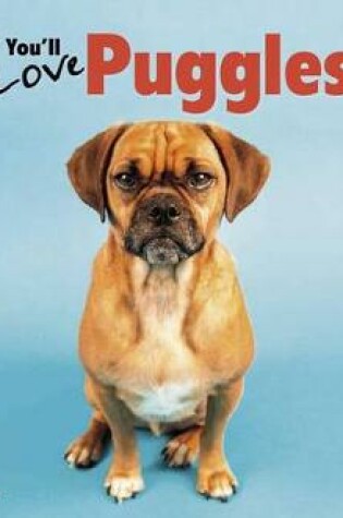 Cover of You'll Love Puggles