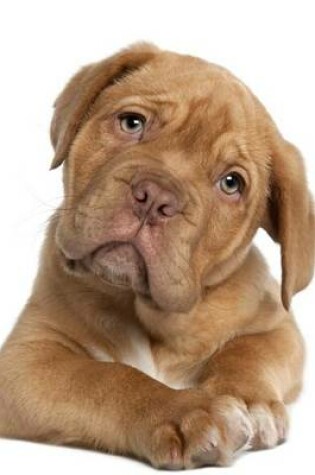 Cover of Dogue de Bordeaux French Mastiff Puppy (for the Love of Dogs)