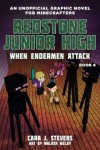 Book cover for When Endermen Attack