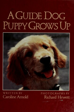 Cover of A Guide Dog Puppy Grows Up