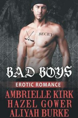 Cover of Bad Boys