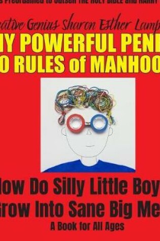 Cover of Silly Little Boys: 40 Rules of Manhood - How Do Silly Little Boys Grow Into Big Sane Men? Self-Help for Men of All Ages