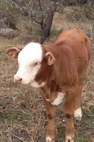 Cover of A Free Range Cow in Texas