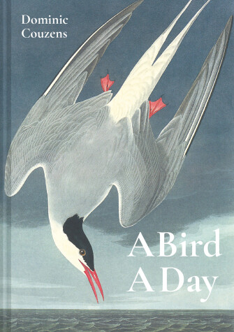 Book cover for A Bird A Day