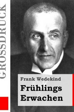 Cover of Fruhlings Erwachen (Grossdruck)