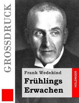 Book cover for Fruhlings Erwachen (Grossdruck)