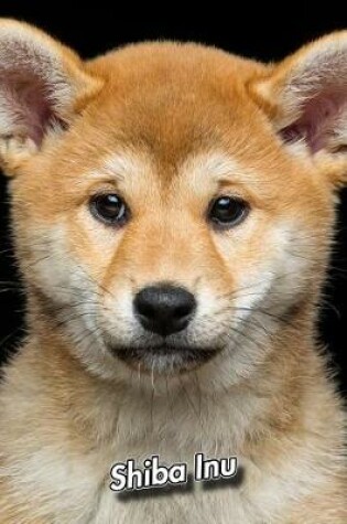 Cover of Shiba Inu