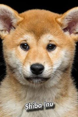 Book cover for Shiba Inu